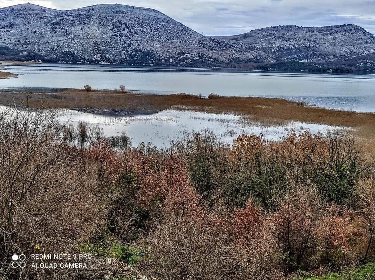 Haustor Skadar Lake Villa Podgorica Bagian luar foto