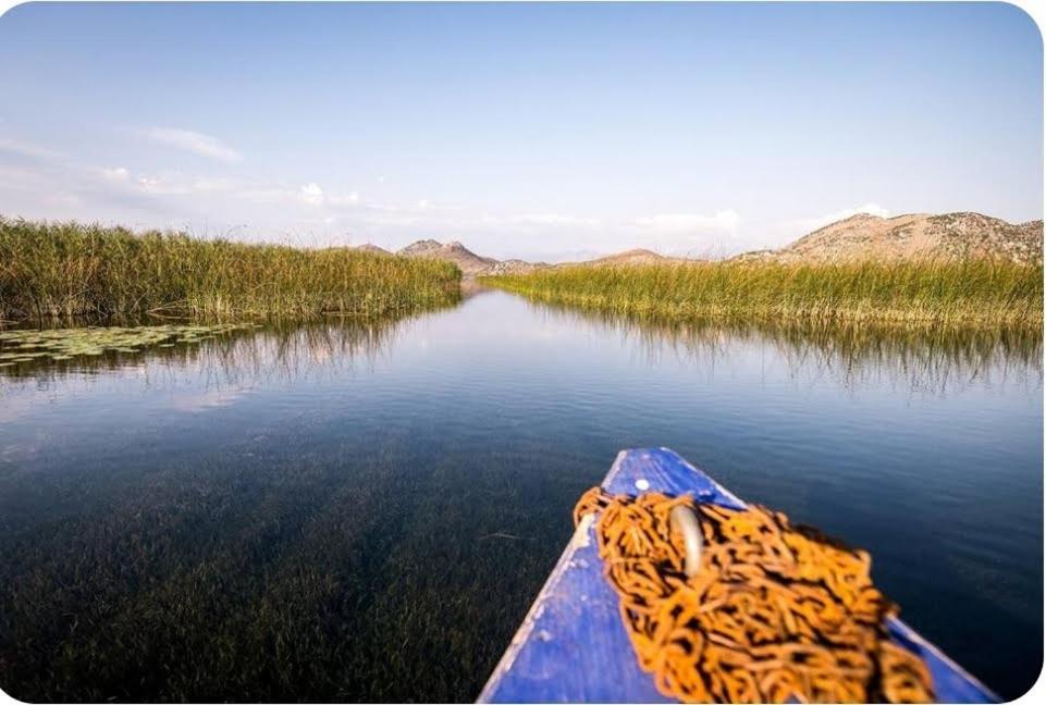 Haustor Skadar Lake Villa Podgorica Bagian luar foto