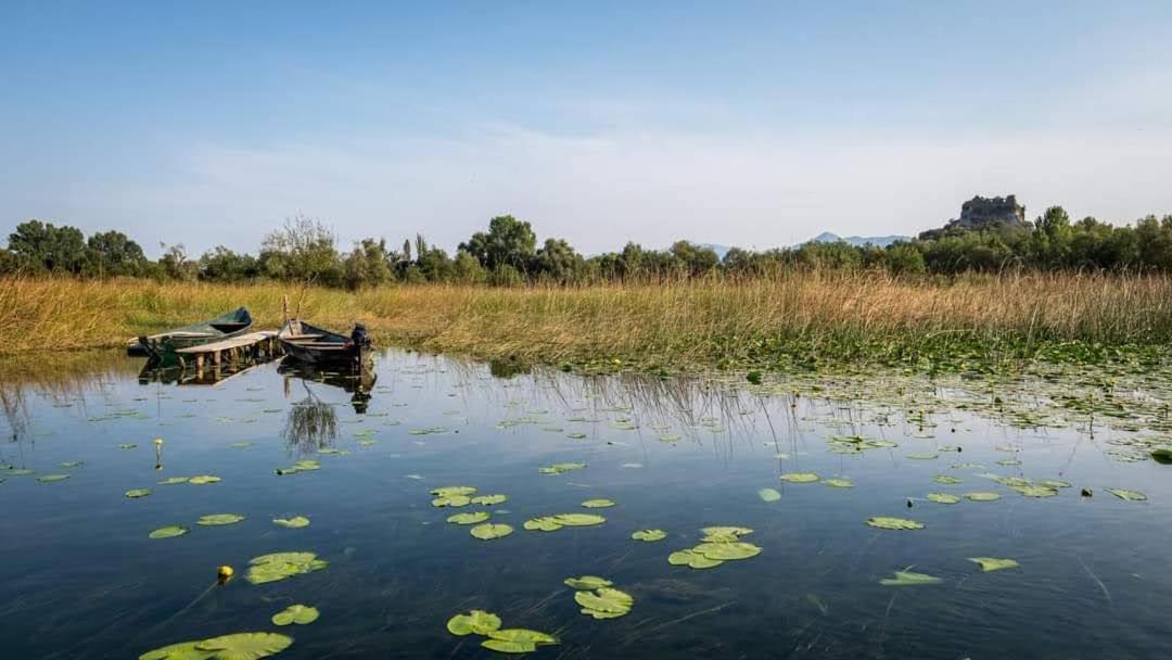 Haustor Skadar Lake Villa Podgorica Bagian luar foto