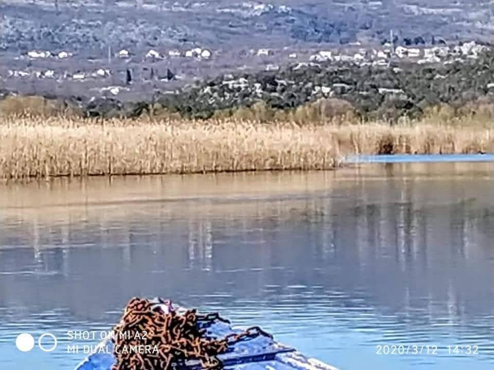 Haustor Skadar Lake Villa Podgorica Bagian luar foto