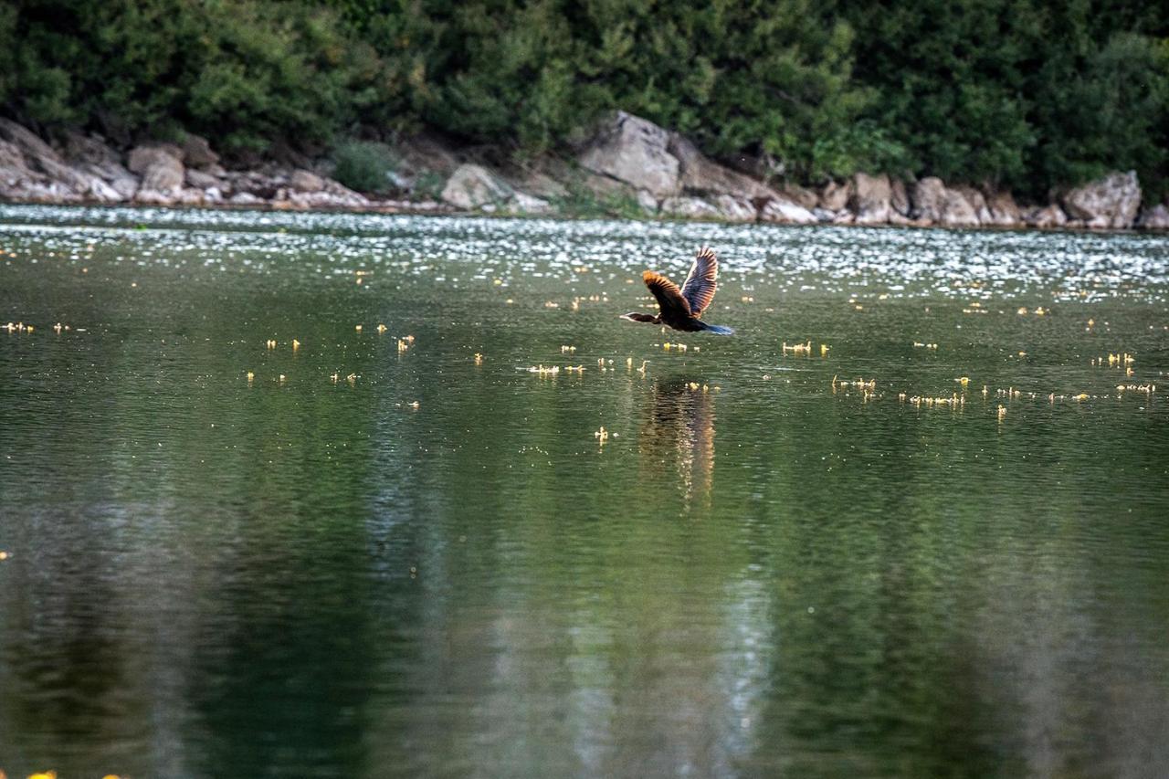 Haustor Skadar Lake Villa Podgorica Bagian luar foto