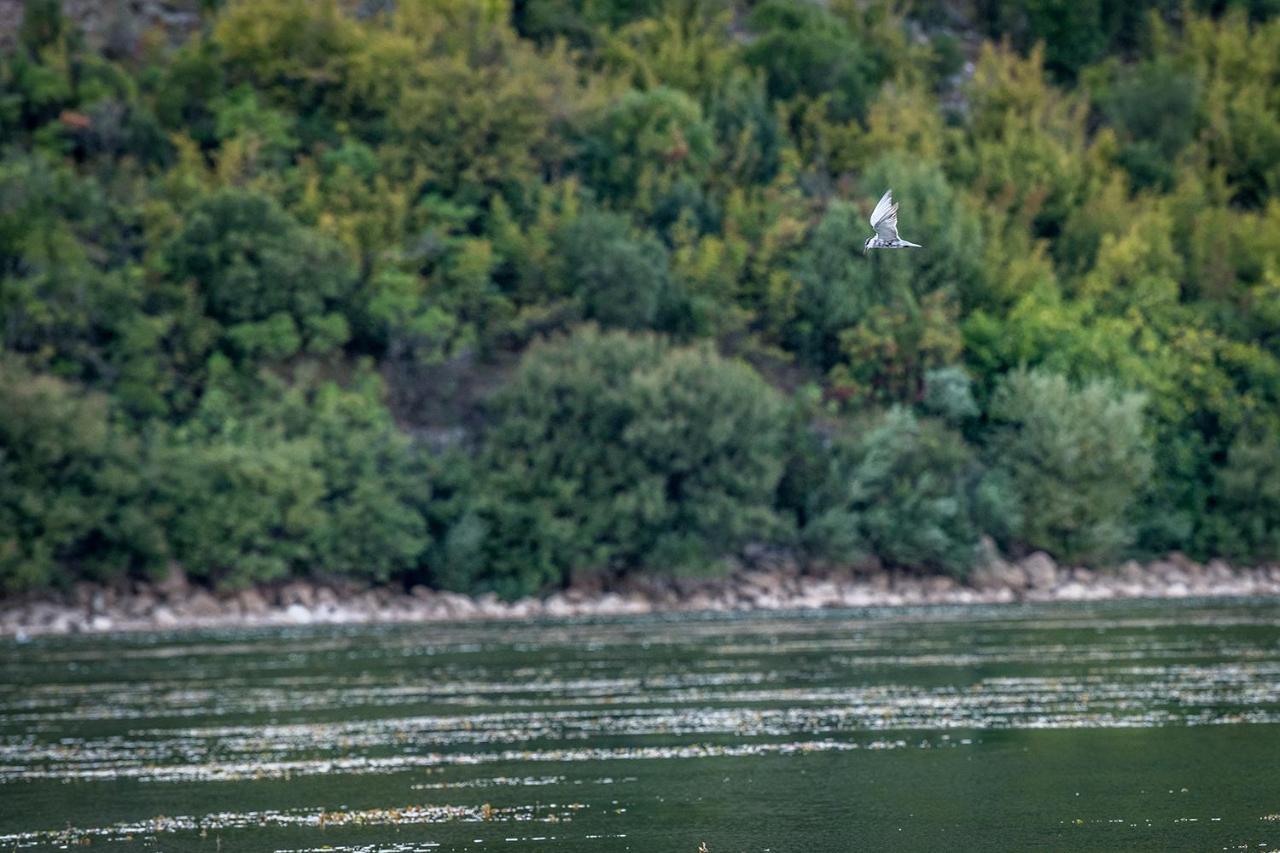 Haustor Skadar Lake Villa Podgorica Bagian luar foto